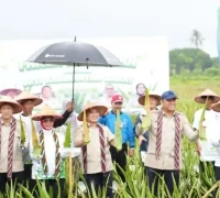 Wamentan RI Sudaryono dan Gubernur Kalbar Ria Norsan meninjau panen raya lidah buaya di Pontianak.