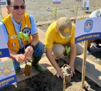 Kegiatan penanaman mangrove di Sungai Kupah Kubu Raya oleh Pemkab dan Lions Club.