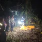 Petugas kepolisian melakukan olah TKP di lokasi penemuan jasad pria berinisial J.F.M. di area perkebunan kelapa sawit, Desa Toho Ilir, Kabupaten Mempawah.