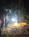 Petugas kepolisian melakukan olah TKP di lokasi penemuan jasad pria berinisial J.F.M. di area perkebunan kelapa sawit, Desa Toho Ilir, Kabupaten Mempawah.