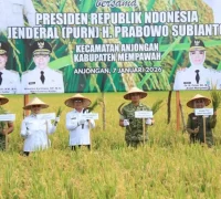 Panen padi serentak di Mempawah dipimpin Wagub Kalbar Krisantus Kurniawan. (MC Kalbar)