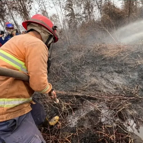Gubernur Kalbar Ria Norsan menyampaikan alokasi dana Banpres Rp40 miliar untuk memperkuat penanganan karhutla di Kalimantan Barat.