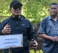 Bupati Kubu Raya Sujiwo menanam mangrove di pesisir Desa Kubu dalam kegiatan Hari Kebangkitan Nasional.