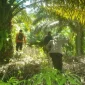 Tim SAR gabungan melakukan pencarian pria 57 tahun asal Ketapang yang hilang di Sekadau Hulu Kalimantan Barat.