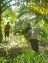 Tim SAR gabungan melakukan pencarian pria 57 tahun asal Ketapang yang hilang di Sekadau Hulu Kalimantan Barat.