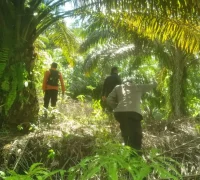 Tim SAR gabungan melakukan pencarian pria 57 tahun asal Ketapang yang hilang di Sekadau Hulu Kalimantan Barat.