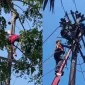 Petugas PLN mengevakuasi pria yang diduga hendak mencuri kabel setelah tersengat listrik di Jalan Purnama 2, Pontianak Selatan.