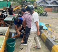 Pelaku penipuan modus COD diamankan Tim Maung Polsek Pontianak Utara.