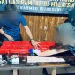 Barang bukti sabu seberat 13,3 kilogram dalam kemasan teh China yang digagalkan di perbatasan Kalimantan Barat. (Foto: Bea Cukai)