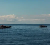 Ilustrasi - Sabah memperkuat perlindungan laut melalui Program Anti Pengeboman Ikan (AFB) dengan kolaborasi masyarakat dan aparat. (freepik/diana-grytsku)