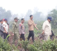 Gubernur Kalimantan Barat Ria Norsan mendampingi Presiden Prabowo Subianto meninjau lokasi kebakaran hutan dan lahan di Jalan Angkasapura, Kabupaten Kubu Raya.