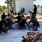 Bupati Kubu Raya Sujiwo menyaksikan penyembelihan sapi kurban bantuan Presiden RI di Masjid Al-Isra Kompleks Kantor Bupati Kubu Raya.