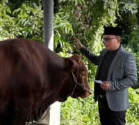 Bupati Kubu Raya Sujiwo saat menyerahkan daging kurban Iduladha 1447 Hijriah kepada masyarakat dan tenaga honorer di Kubu Raya.