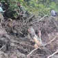 Warga menyusuri aliran sungai di Nduga, Papua Pegunungan, untuk mencari korban banjir bandang dan longsor yang menewaskan 15 warga. (x.com/yulianto_24)