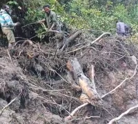 Warga menyusuri aliran sungai di Nduga, Papua Pegunungan, untuk mencari korban banjir bandang dan longsor yang menewaskan 15 warga. (x.com/yulianto_24)