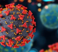 Ilustrasi - risiko Virus Nipah.