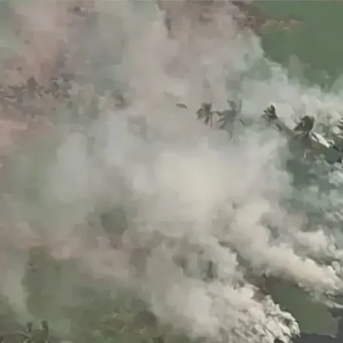 Gubernur Kalbar Ria Norsan memperkuat pemadaman karhutla di kawasan Gunung Palung dan Bukit Peramas dengan water bombing.