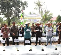 Gerakan serentak tanam cabai Gerakan serentak tanam cabai dan jagung di Balai Benih Induk Hortikultura Pontianak.