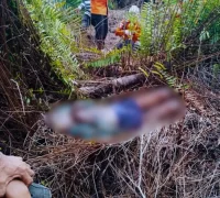 Petugas kepolisian mengevakuasi lansia yang ditemukan meninggal di kebun Kuala Mandor