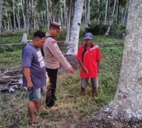 Kebun kelapa Padang Tikar, Kubu Raya, lokasi penemuan bayi baru lahir