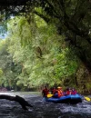 WhatsApp Image 2025-10-20 at 12.28.50 Ilustrasi- Kebangkitan pariwisata Kalimantan Barat.