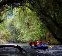 WhatsApp Image 2025-10-20 at 12.28.50 Ilustrasi- Kebangkitan pariwisata Kalimantan Barat.