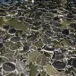 WhatsApp Image 2025-10-27 at 17.52.41 Ribuan tukik dilepasliarkan di Pantai Tanjung Api Paloh oleh Pokmaswas Kambau Borneo bersama masyarakat dan Yayasan Sealife Indonesia
