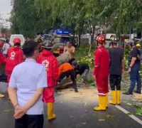 Petugas tengah mengevakuasi pohon tumbang beberapa waktu lalu.