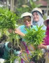 Ketua TP PKK Kota Pontianak Yanieta Arbiastutie saat panen sayur di Balai Benih Induk Hortikultura Pontianak Utara.