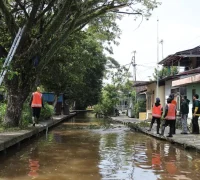Petugas PUPR tengah memangkas pohon.