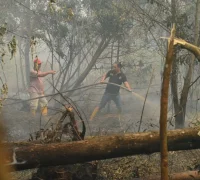 Ilustrasi - Petugas gabungan memadamkan kebakaran lahan.