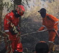 Kebakaran lahan yang terjadi tahun lalu.