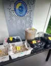 Barang bukti 2.253 butir telur penyu ilegal yang disita aparat Malaysia dalam operasi di Sarawak dari WNI asal Sambas, Kalimantan Barat.