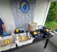 Barang bukti 2.253 butir telur penyu ilegal yang disita aparat Malaysia dalam operasi di Sarawak dari WNI asal Sambas, Kalimantan Barat.