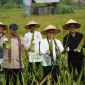 Wali Kota Pontianak Edi Rusdi Kamtono dan Wakil Menteri Pertanian RI Sudaryono memanen lidah buaya di kawasan sentra hortikultura, Pontianak Utara, Minggu (28/6/2026).