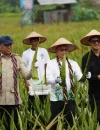 Wali Kota Pontianak Edi Rusdi Kamtono dan Wakil Menteri Pertanian RI Sudaryono memanen lidah buaya di kawasan sentra hortikultura, Pontianak Utara, Minggu (28/6/2026).