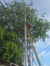 Petugas PLN melakukan pengecekan jaringan listrik saat pemadaman bergilir di wilayah Pontianak.