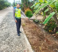 Petugas Satlantas Polres Kubu Raya melakukan olah TKP kecelakaan adu banteng di Jalan Wonodadi II yang diduga dipicu pengendara menghindari jalan rusak.