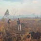 Petugas Polres Kubu Raya memasang garis polisi di lokasi kebakaran hutan dan lahan seluas 4 hektare di Sungai Raya untuk kepentingan penyelidikan.