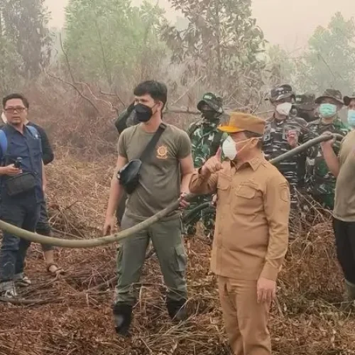 Gubernur Kalbar Ria Norsan turun ke lapangan meninjau penanganan karhutla di kawasan Parit H. Mukhsin, Kabupaten Kubu Raya, Selasa (1/9/2026).