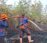 Kebakaran hutan dan lahan (karhutla) melanda sejumlah wilayah di Indonesia. (foto: BNPB)