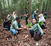 Delegasi Untan menanam 100 bibit engkabang jantong di Hutan Simpan Sabal, Sarawak. (Foto: Suara Sarawak)