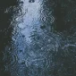 Ilustrasi - Hujan mengguyur Pontianak setelah beberapa pekan dilanda kabut asap akibat karhutla. (Foto: unsplash.com/@argtone)