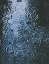 Ilustrasi - Hujan mengguyur Pontianak setelah beberapa pekan dilanda kabut asap akibat karhutla. (Foto: unsplash.com/@argtone)