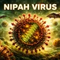Ilustrasi penyebaran Virus Nipah dari kelelawar ke manusia dan langkah pencegahan di Indonesia.