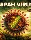 Ilustrasi penyebaran Virus Nipah dari kelelawar ke manusia dan langkah pencegahan di Indonesia.