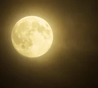 Penampakan Beaver Supermoon 2025 yang tampak lebih besar dan terang akan menghiasi langit malam bulan November. (pixabay.com/christoph1703-633357)