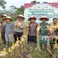 Wakil Bupati Sambas Heroaldi Djuhardi Alwi memimpin panen raya jagung di Desa Sebayan, perkuat ketahanan pangan.(PPID Sambas)
