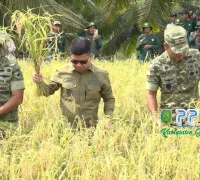 Bupati Satono memimpin panen raya di Desa Parit Baru, Sambas. (dok. PPID Sambas)