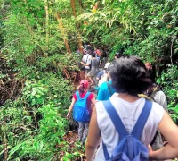 Taman Nasional Bako di Sarawak Taman Nasional Bako di Sarawak, salah satu kawasan Malaysia yang diakui sebagai Taman Warisan ASEAN. (Bernama.com)